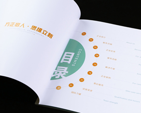 方維網(wǎng)絡畫冊