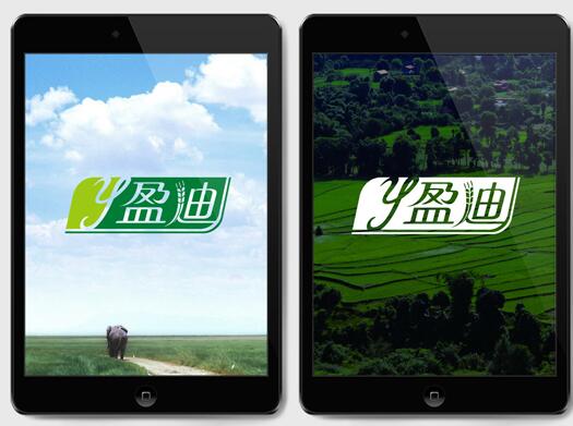 包裝設(shè)計公司