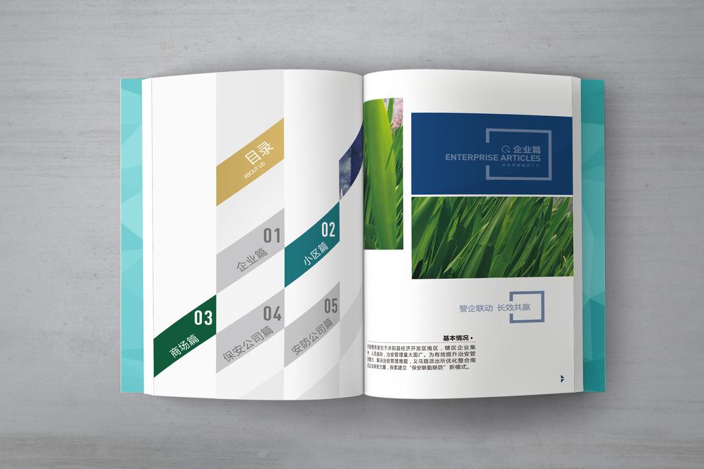 深圳畫冊(cè)設(shè)計(jì)
